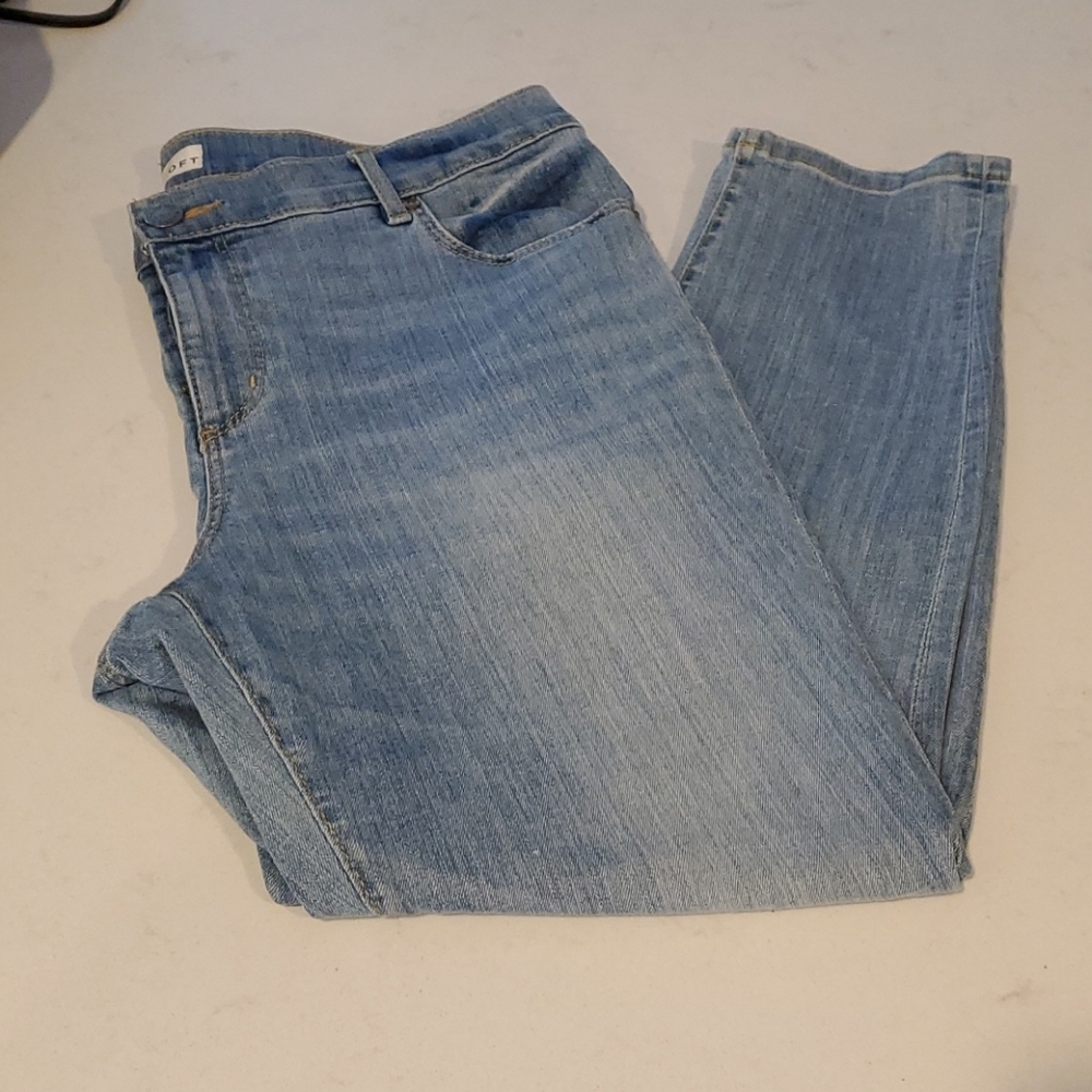 Ann Taylor Loft Modern Skinny Jeans